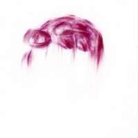 68 pastel rose sur papier canson,10,5x15cm, 2007 ,MX  